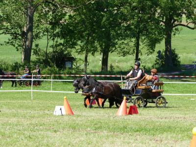 Foto des Albums: Fahrturnier Hilders 2019