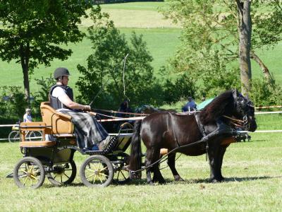 Foto des Albums: Fahrturnier Hilders 2019