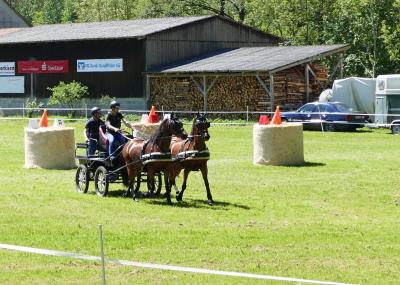 Foto des Albums: Fahrturnier Hilders 2019