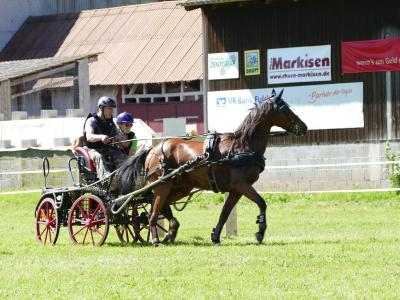 Foto des Albums: Fahrturnier Hilders 2019
