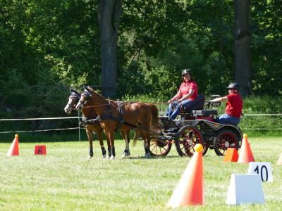 Foto des Albums: Fahrturnier Hilders 2019