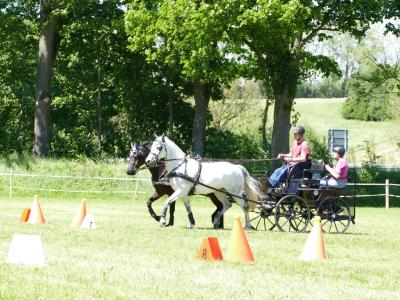 Foto des Albums: Fahrturnier Hilders 2019