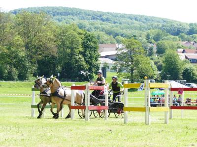 Foto des Albums: Fahrturnier Hilders 2019