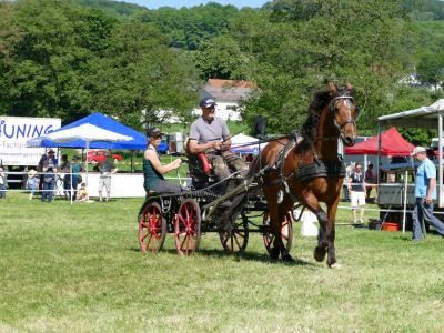 Foto des Albums: Fahrturnier Hilders 2019