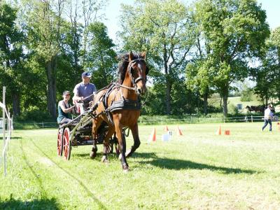 Foto des Albums: Fahrturnier Hilders 2019