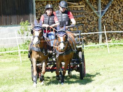 Foto des Albums: Fahrturnier Hilders 2019