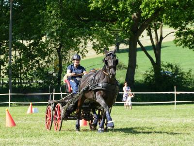 Foto des Albums: Fahrturnier Hilders 2019