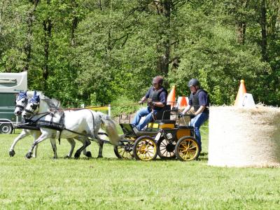 Foto des Albums: Fahrturnier Hilders 2019