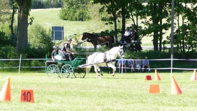 Foto des Albums: Fahrturnier Hilders 2019