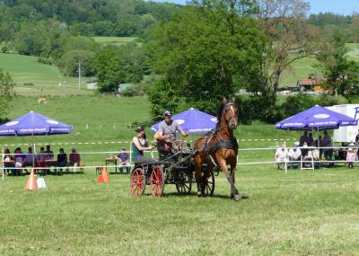Foto des Albums: Fahrturnier Hilders 2019