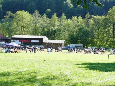 Foto des Albums: Fahrturnier Hilders 2019