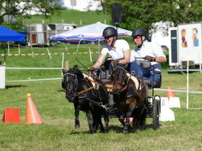 Foto des Albums: Fahrturnier Hilders 2019