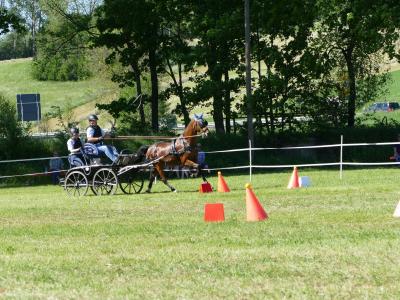 Foto des Albums: Fahrturnier Hilders 2019