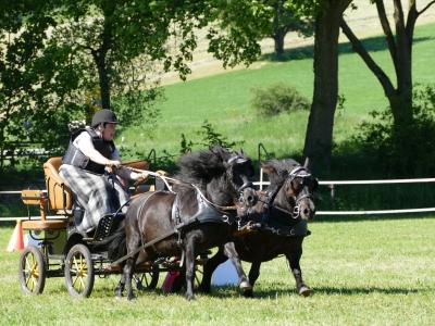 Foto des Albums: Fahrturnier Hilders 2019