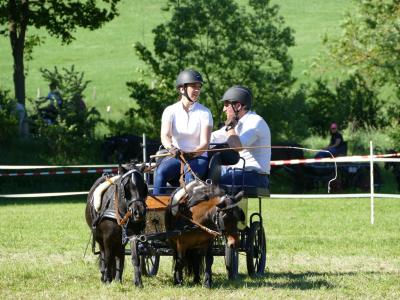 Foto des Albums: Fahrturnier Hilders 2019
