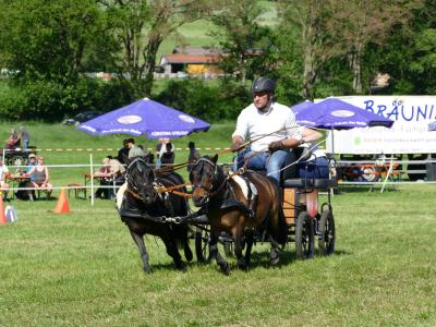 Foto des Albums: Fahrturnier Hilders 2019