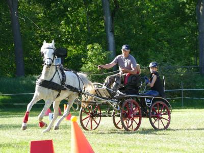 Foto des Albums: Fahrturnier Hilders 2019