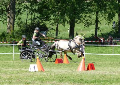 Foto des Albums: Fahrturnier Hilders 2019