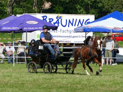 Foto des Albums: Fahrturnier Hilders 2019