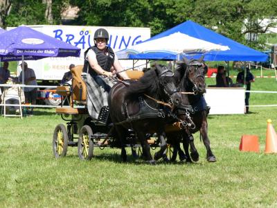 Foto des Albums: Fahrturnier Hilders 2019