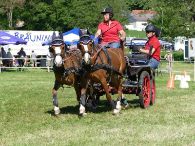 Foto des Albums: Fahrturnier Hilders 2019