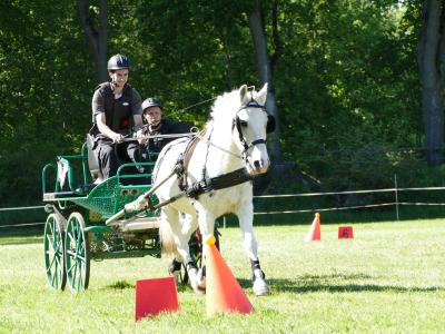 Foto des Albums: Fahrturnier Hilders 2019