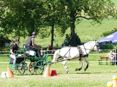 Foto des Albums: Fahrturnier Hilders 2019