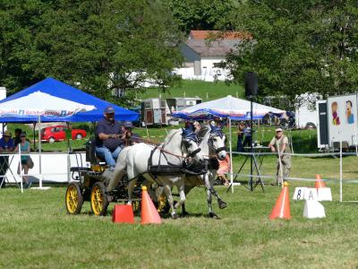Foto des Albums: Fahrturnier Hilders 2019