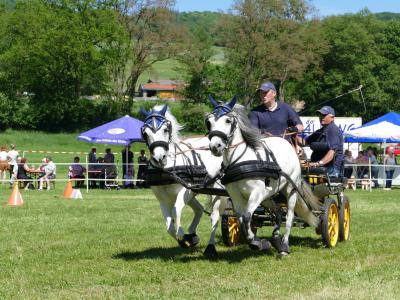 Foto des Albums: Fahrturnier Hilders 2019