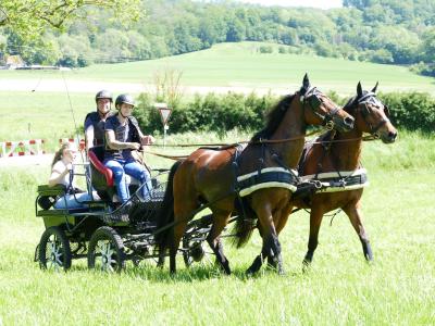 Foto des Albums: Fahrturnier Hilders 2019