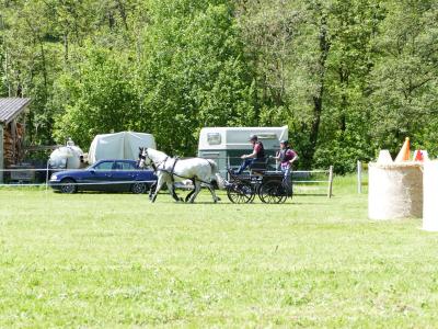 Foto des Albums: Fahrturnier Hilders 2019