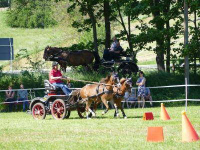 Foto des Albums: Fahrturnier Hilders 2019