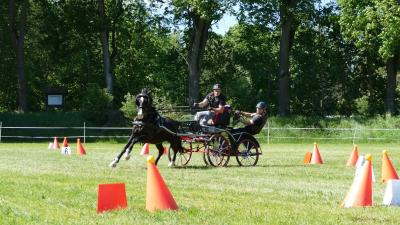 Foto des Albums: Fahrturnier Hilders 2019