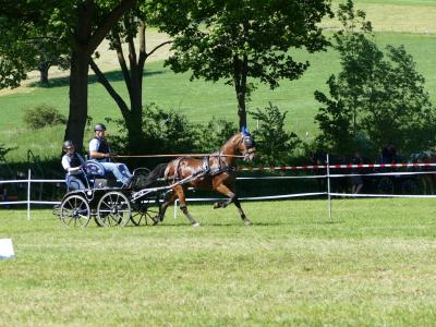 Foto des Albums: Fahrturnier Hilders 2019