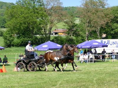 Foto des Albums: Fahrturnier Hilders 2019