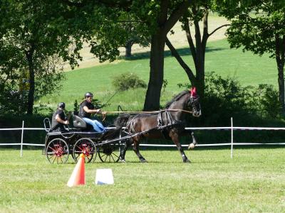 Foto des Albums: Fahrturnier Hilders 2019