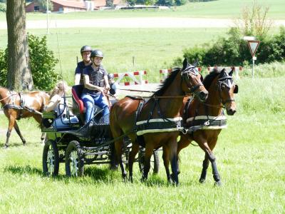 Foto des Albums: Fahrturnier Hilders 2019