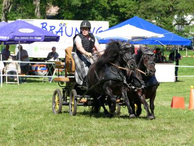 Foto des Albums: Fahrturnier Hilders 2019