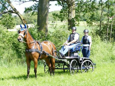 Foto des Albums: Fahrturnier Hilders 2019