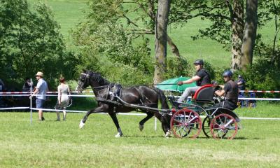 Foto des Albums: Fahrturnier Hilders 2019