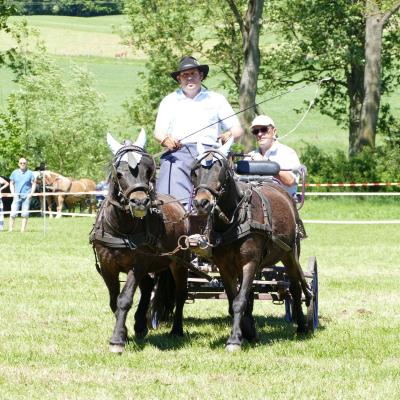 Foto des Albums: Fahrturnier Hilders 2019