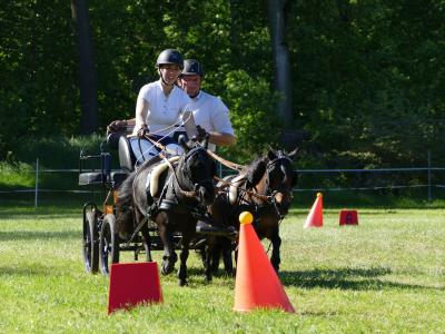 Foto des Albums: Fahrturnier Hilders 2019