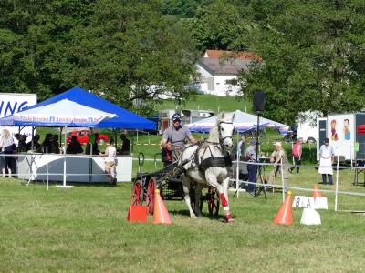 Foto des Albums: Fahrturnier Hilders 2019