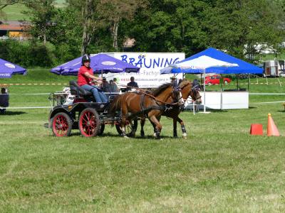 Foto des Albums: Fahrturnier Hilders 2019