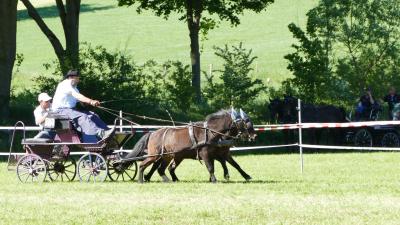 Foto des Albums: Fahrturnier Hilders 2019