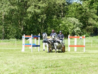 Foto des Albums: Fahrturnier Hilders 2019