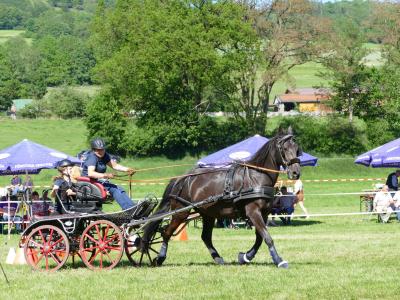 Foto des Albums: Fahrturnier Hilders 2019