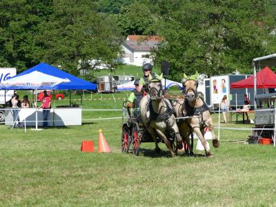 Foto des Albums: Fahrturnier Hilders 2019