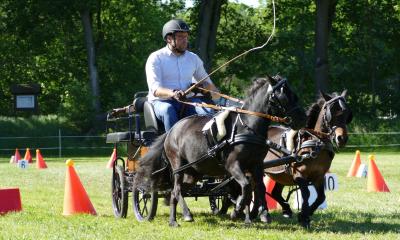 Foto des Albums: Fahrturnier Hilders 2019