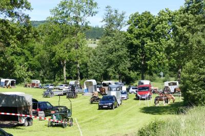 Foto des Albums: Fahrturnier Hilders 2017